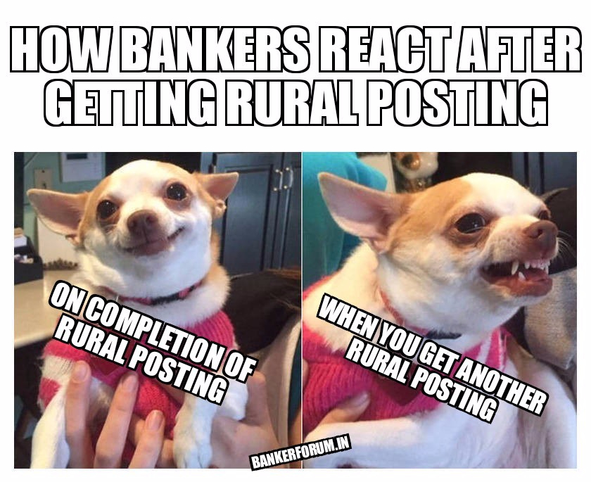 Bank memes village.jpg